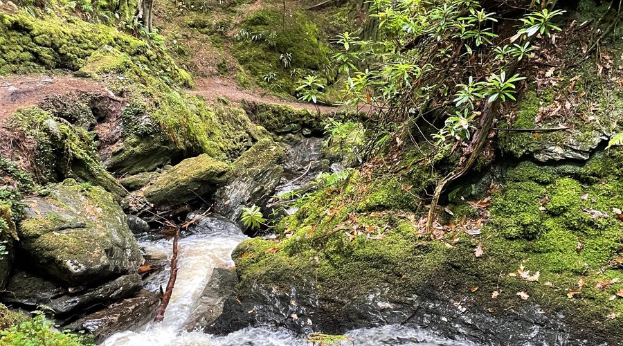 Puck’s Glen