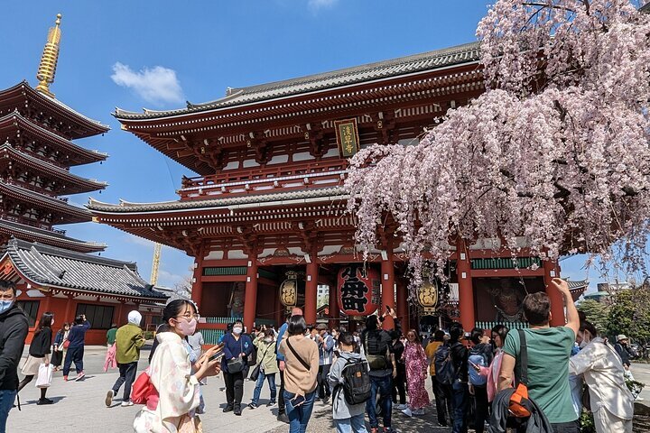 THE 5 BEST Mitaka Tours for 2024 with Prices Tripadvisor