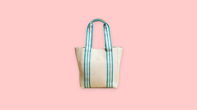 Steele Canvas Basket Corp Colorful Waterproof Beach Tote Bag, 4 Colors on  Food52
