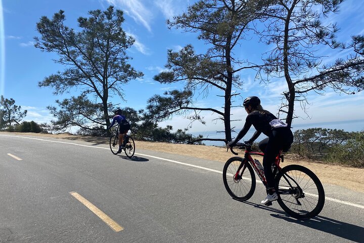 2024 Cali Dreaming Electric Bike Tour of La Jolla and Pacific Beach