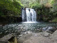 Best Trails near Cascade de Bras Rouge