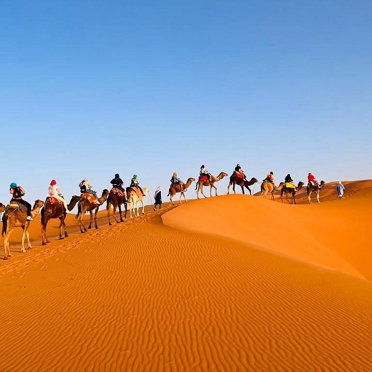 on the go tours morocco reviews