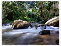 Um pedacinho da Serra da Mantiqueira e do Templo Hare Krishna na Fazenda  Nova Gokula. Essa foto foi de uma das inúmeras vezes que visitei este belo  lugar. – Bilde av Fazenda