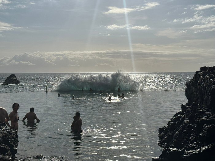 Imagen 10 de Charco de Isla Cangrejo