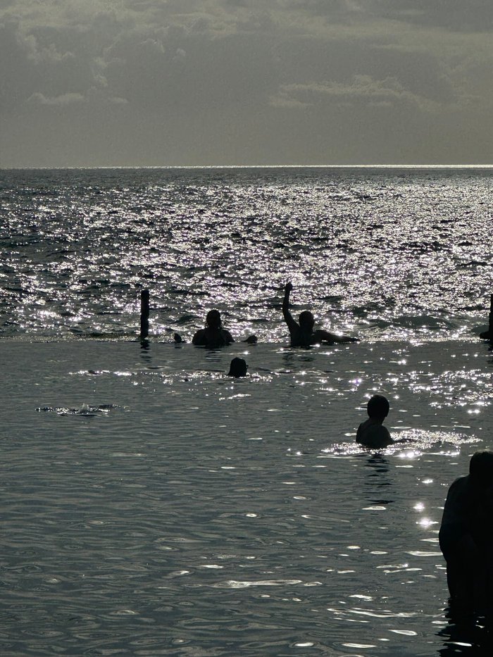 Imagen 9 de Charco de Isla Cangrejo