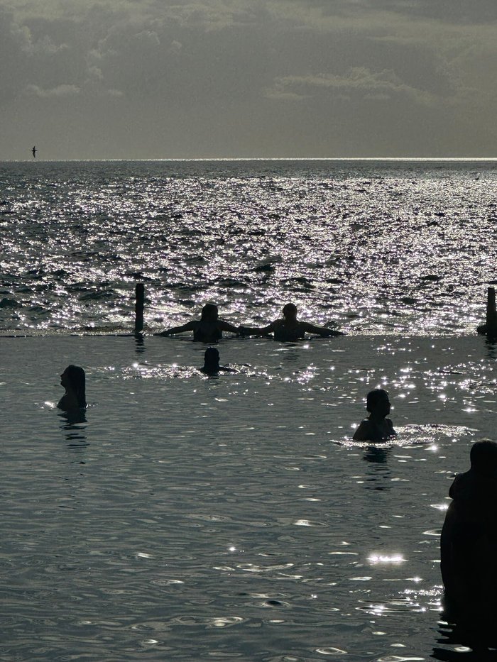 Imagen 8 de Charco de Isla Cangrejo