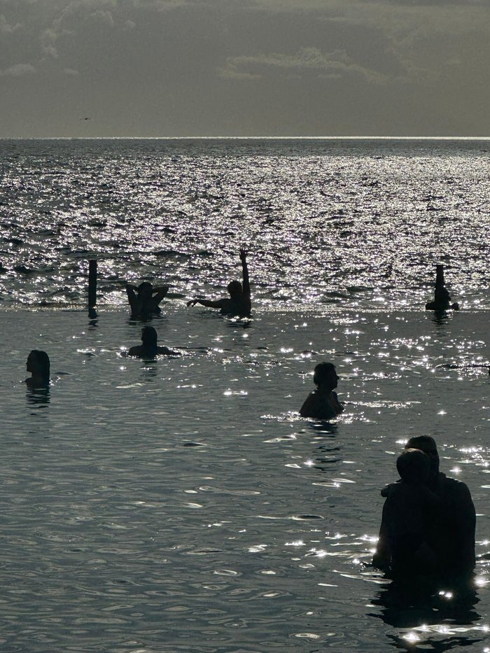 Imagen 7 de Charco de Isla Cangrejo