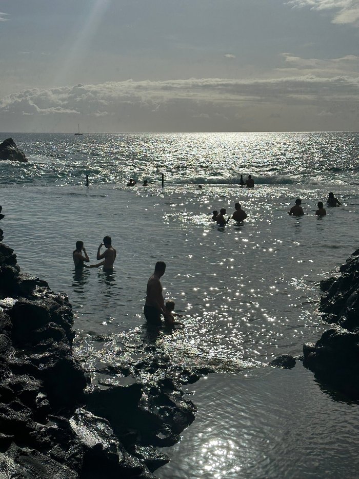 Imagen 6 de Charco de Isla Cangrejo