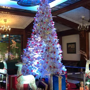 Christmas at the CCI