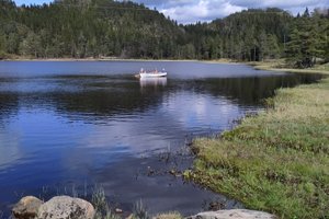 Basseng og strand