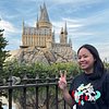 osaka castle boat tour orinsama