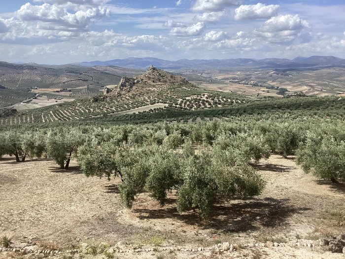 Imagen 24 de Cortijo de la Hoja