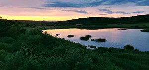 RSPB LEIGHTON MOSS NATURE RESERVE: All You Need to Know BEFORE You