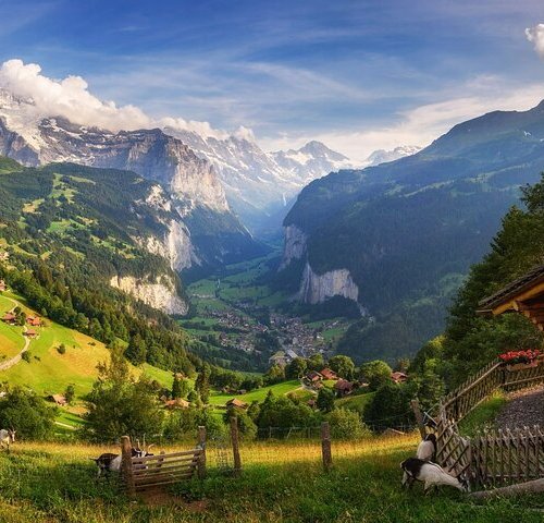 THE 15 BEST Things to Do in Wengen - 2023 (with Photos) - Tripadvisor