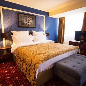 Ani Plaza Hotel, hotel in Yerevan