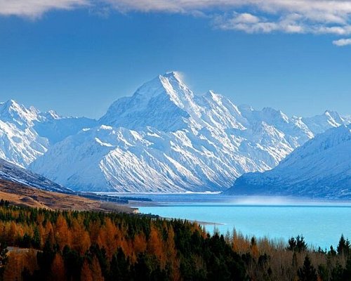 mt cook trip