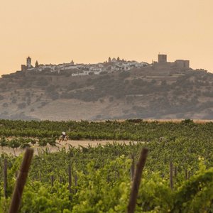 Vineyards with view to Monsaraz village ©Ash James
