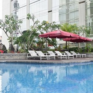 Adult Pool