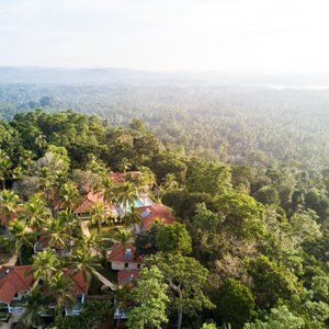 Tabula Rasa Aerial View