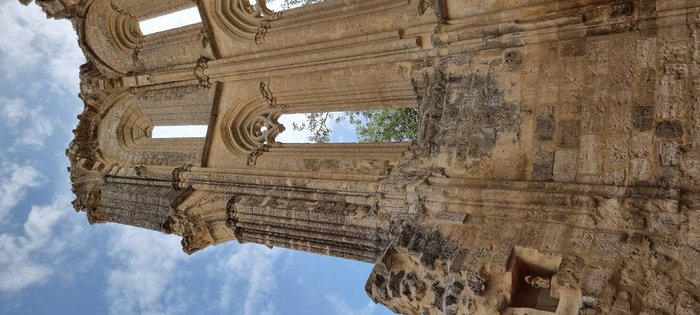 Imagen 8 de Monasterio de San Antón