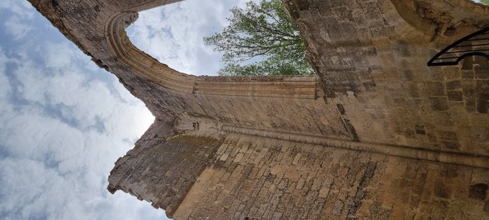 Imagen 5 de Monasterio de San Antón