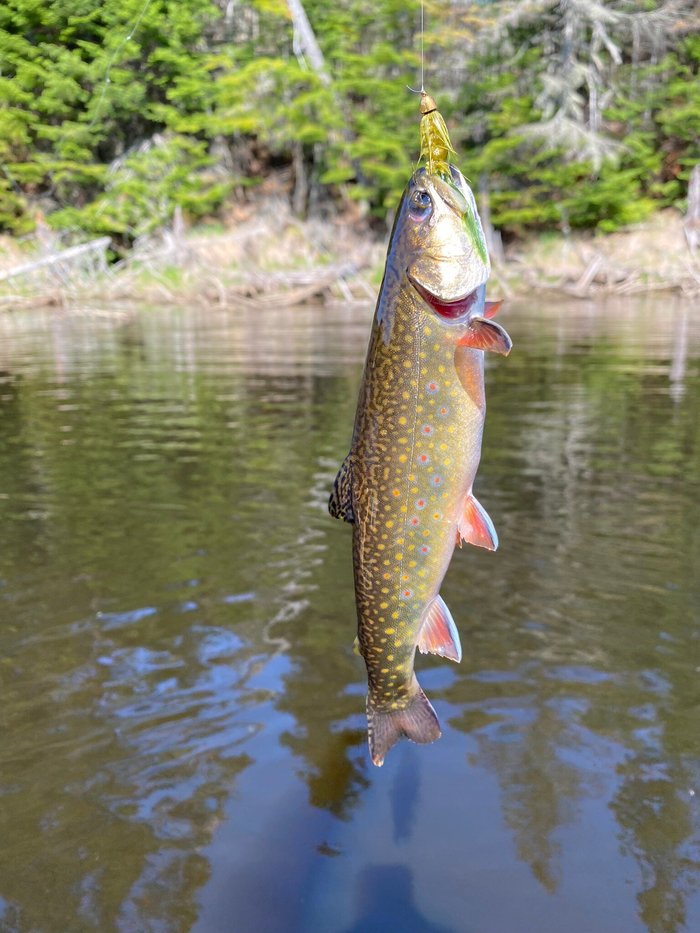 AMC LITTLE LYFORD POND LODGE AND CABINS - Updated 2023 Campground ...