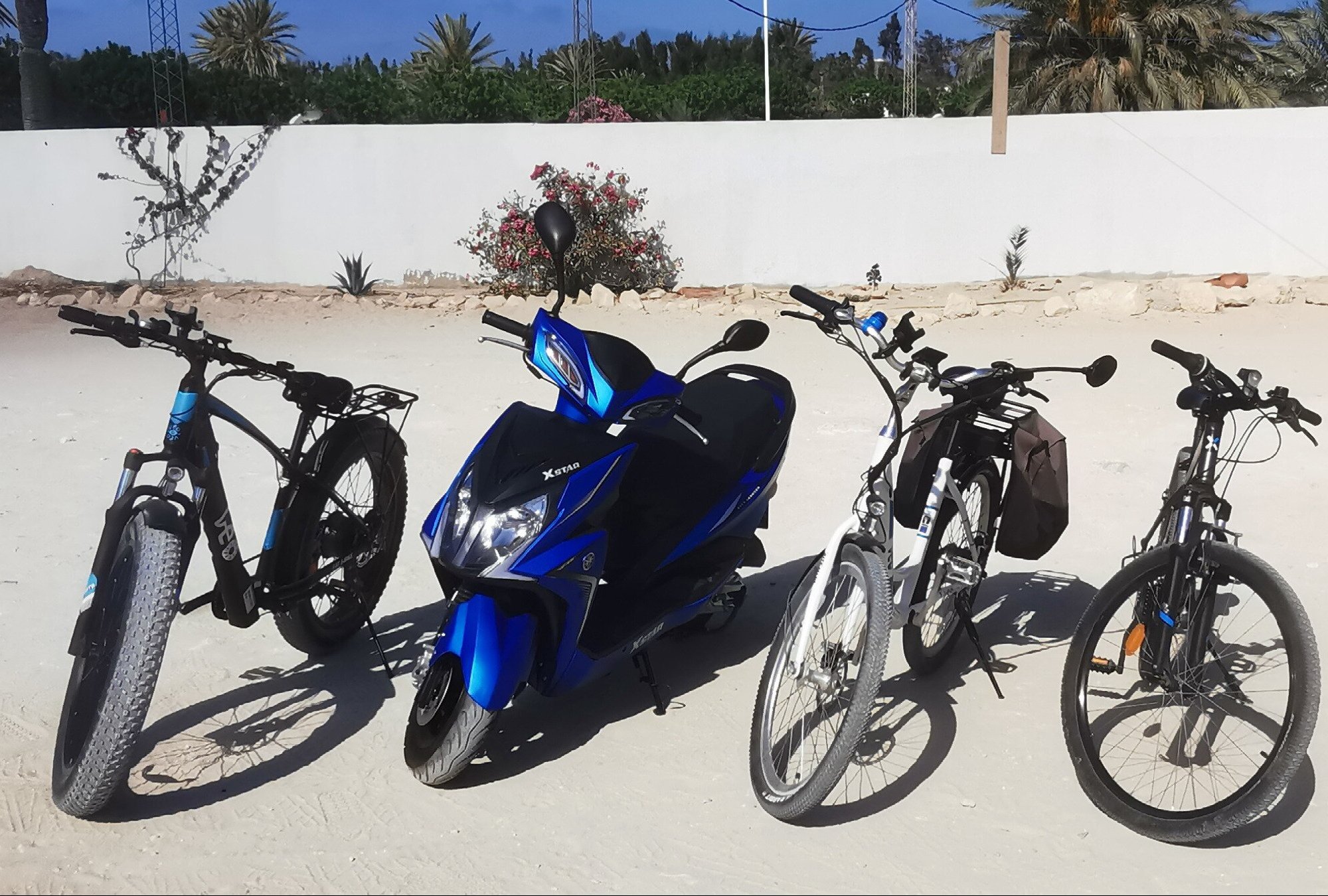 rezensionen für action tours djerba