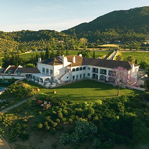 Hotel Casa Palmela Aerial View