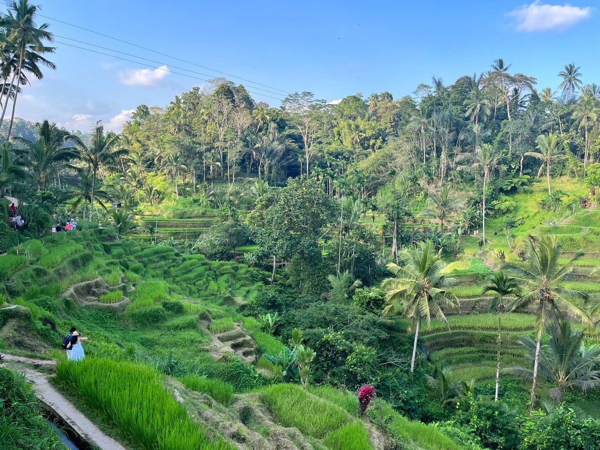 Yoga Bali Tour, Денпасар: лучшие советы перед посещением - Tripadvisor