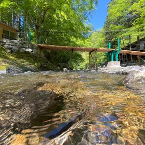 場内を流れる名栗川と丸太橋
