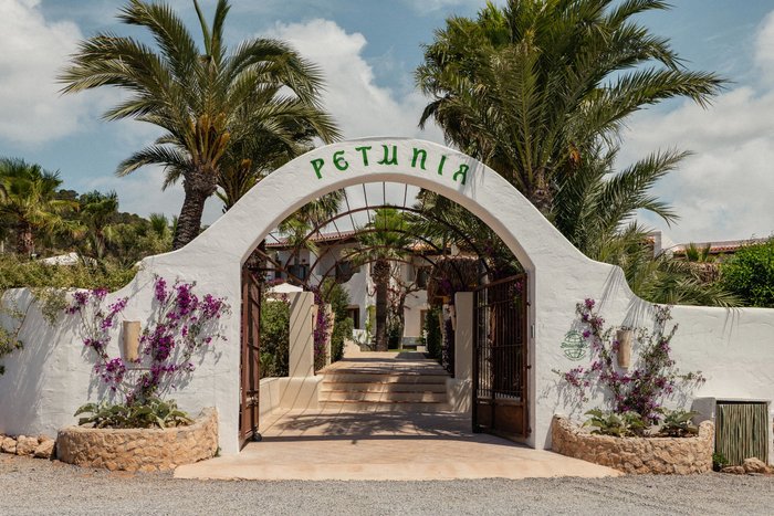Imagen 2 de Hotel Petunia Ibiza