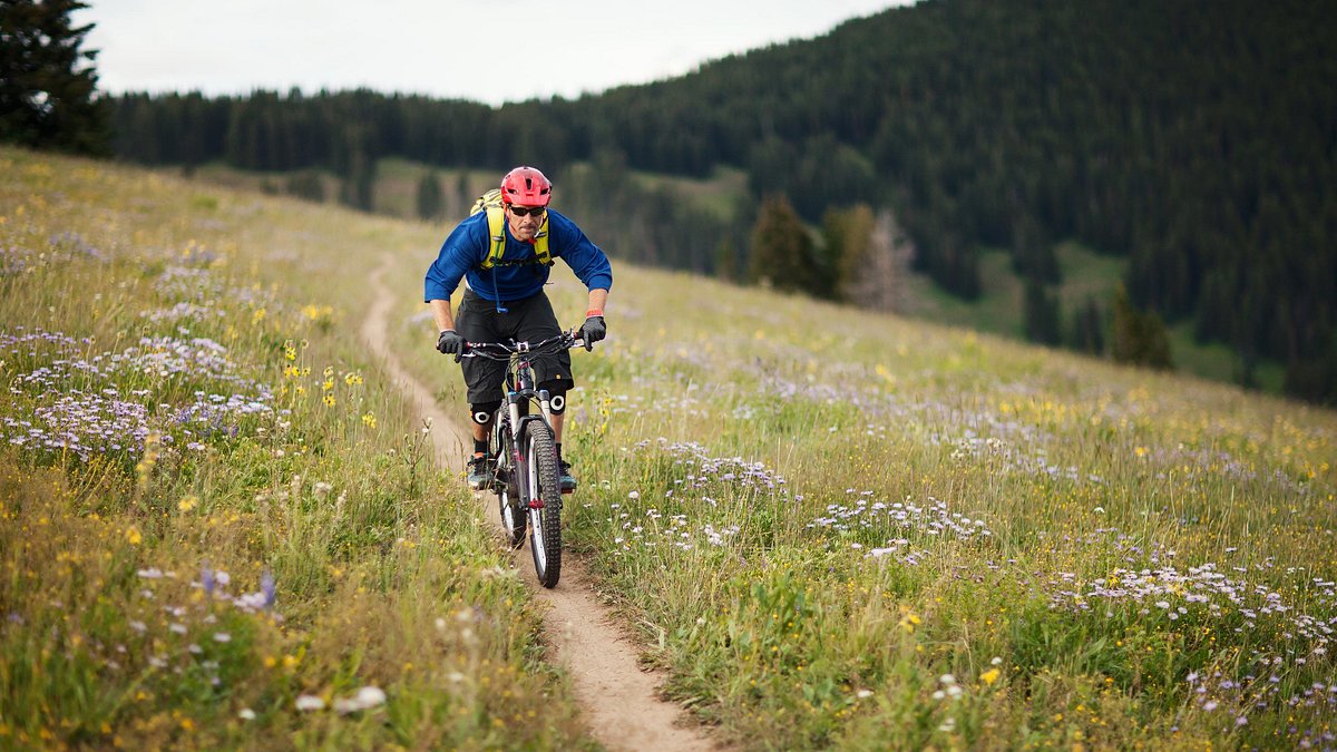 7 best mountain biking destinations beginners - Tripadvisor