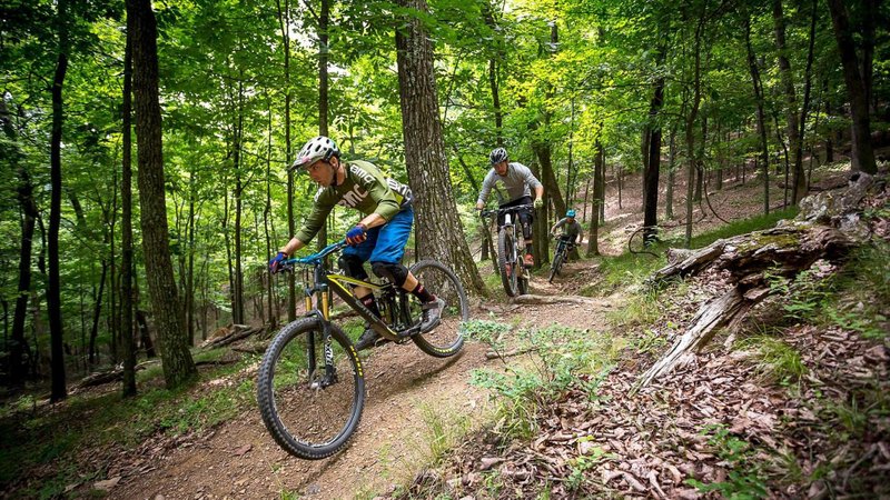 Biking Trails and Mountain Biking