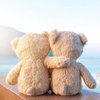 Travelling bears