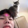 민규 김