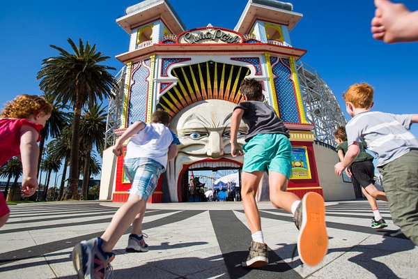 Urban monkey likes to watch. - Picture of Saint Kilda Beach Hotel, St Kilda  - Tripadvisor