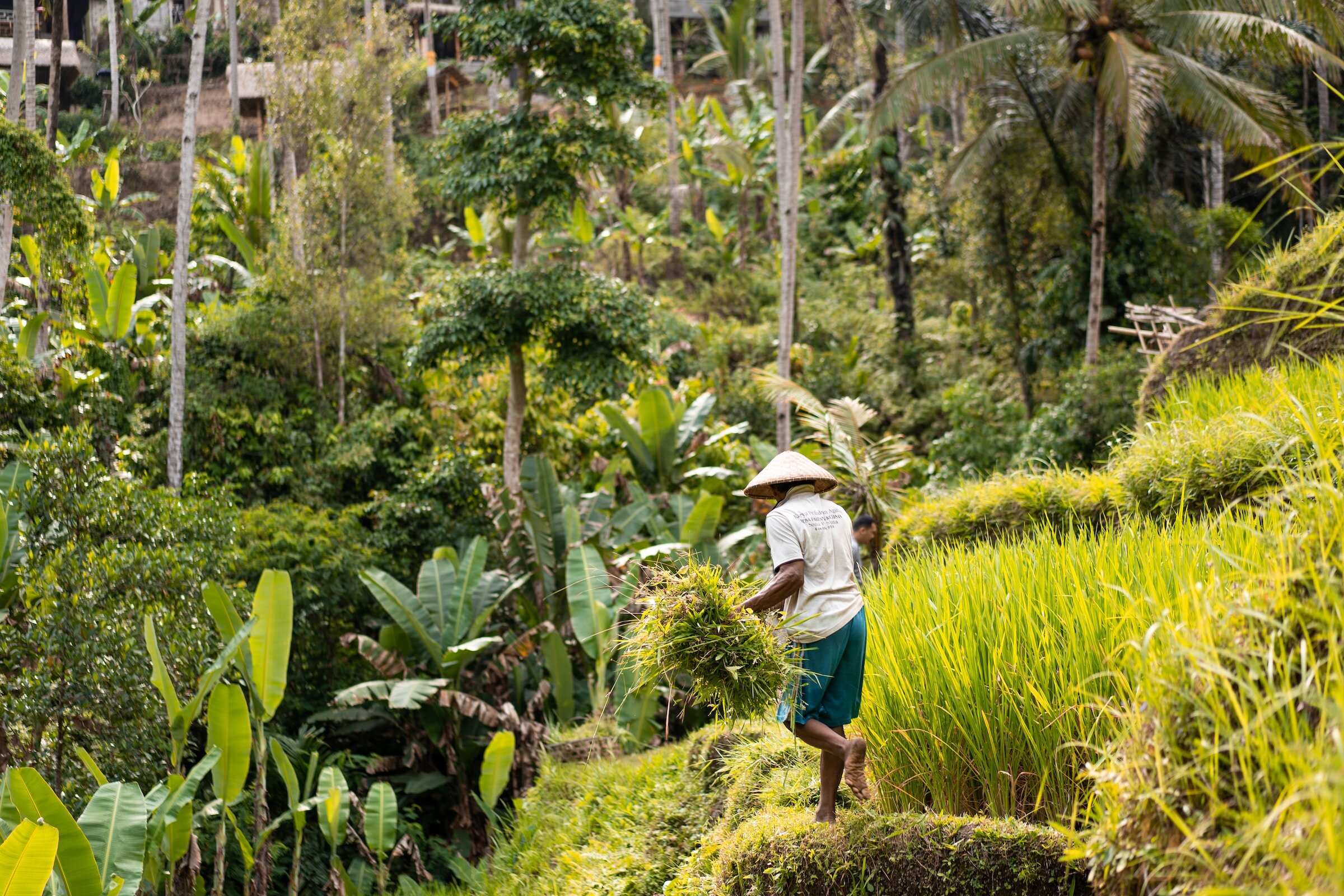 THE 10 BEST Things To Do In Bali 2024 (with Photos) - Tripadvisor