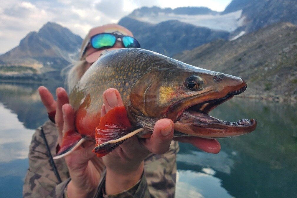 Jasper Park Fishing All You Need To Know BEFORE You Go   Caption 