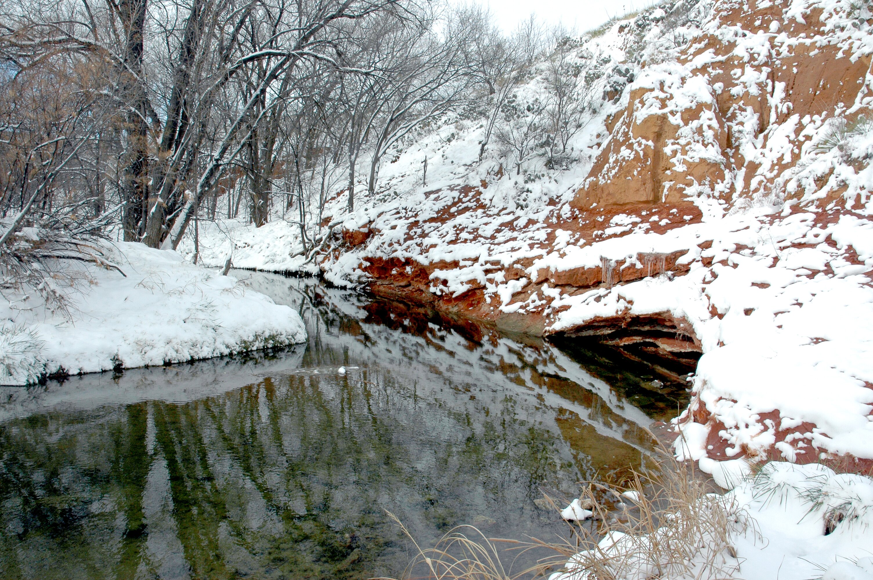 Borger Nature Trails (TX) - anmeldelser pic pic