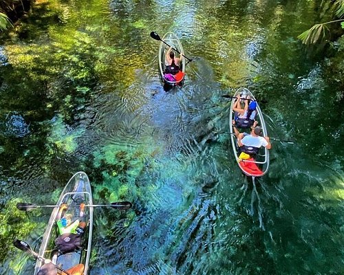 Get Up And Go Kayaking - Silver Springs - All You Need to Know BEFORE You  Go (2024)