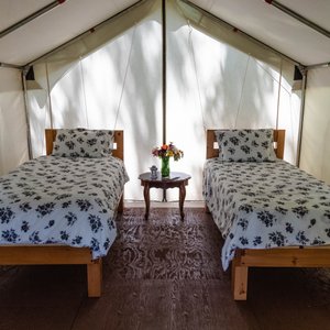 The Fergus tent features two twin beds, with an option to become a full-sized king bed. It is situated close to the washrooms, in amongst the trees near the farmhouse. This tent is close to other tents, making it an ideal spot for families or group bookings who would like to be together, but it is also private enough to enjoy if just one or two guests. The view extends past the Belwood tent and to the farm field beyond.