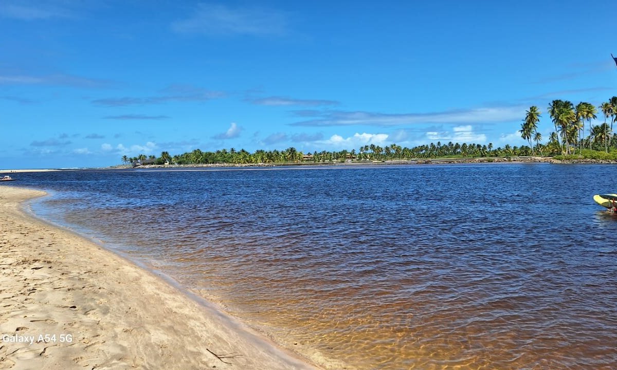 Projeto de preservação de cavalo-marinho fecha por falta de apoio em Porto  de Galinhas