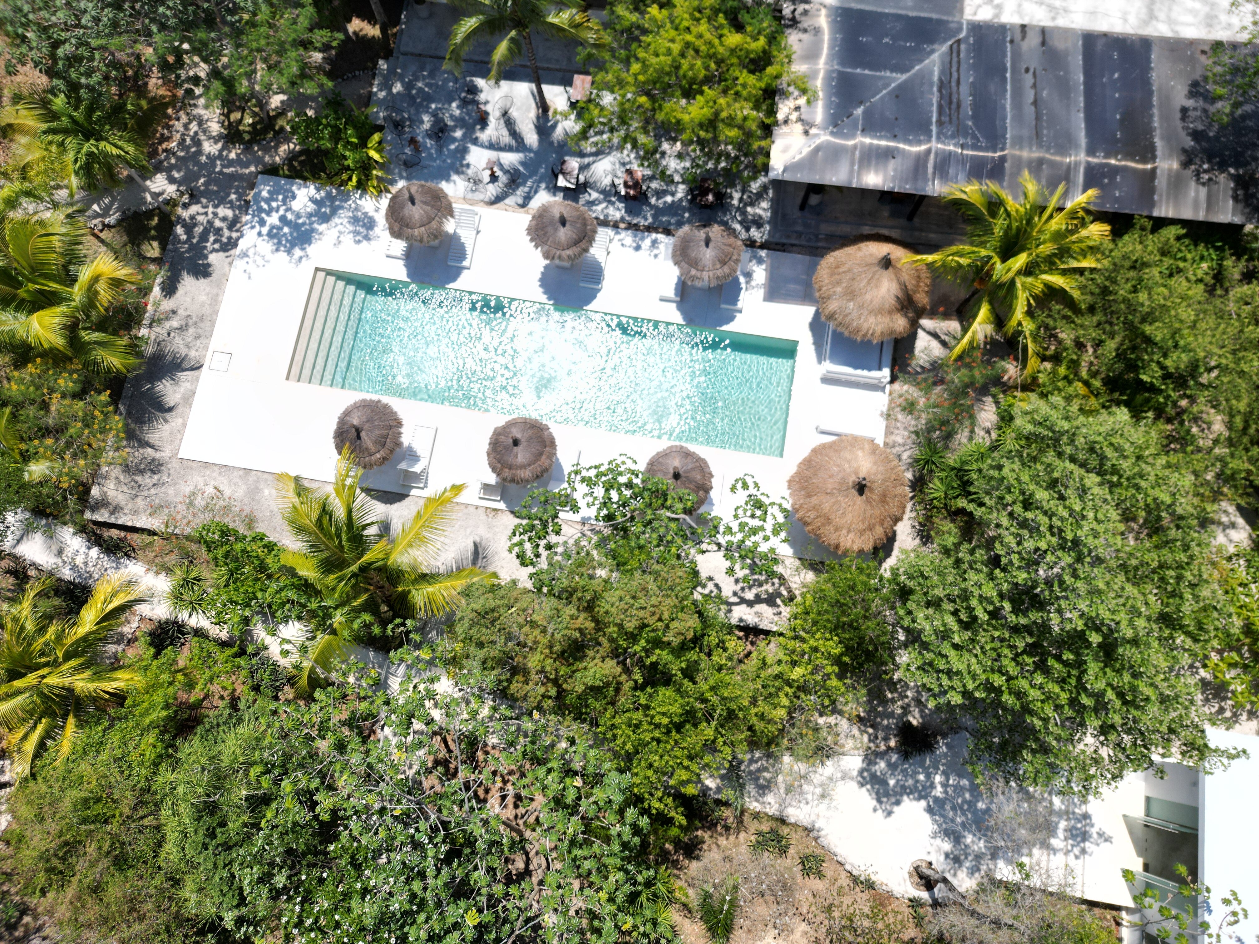 Jungle Lodge Boutique Hotel Chemuyil Mexico UPDATED 2024