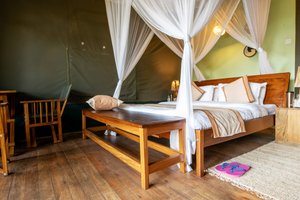 Habitaciones y suites