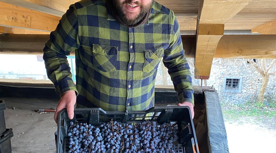 Il nostro Davide che controlla le cassettine con la Corvina in appassimento
