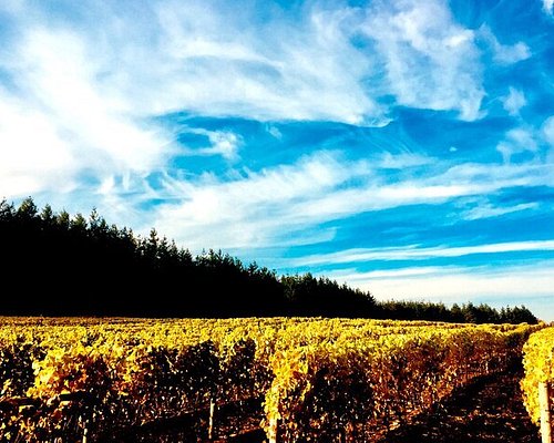wine tours in langley bc