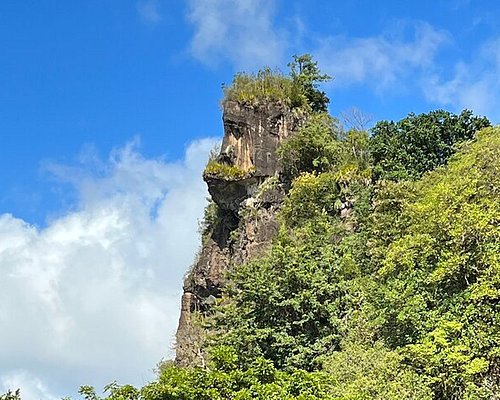 st vincent island tour