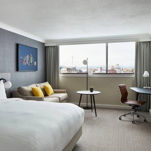 King Executive Guest Room