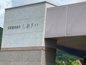 旅行者の写真