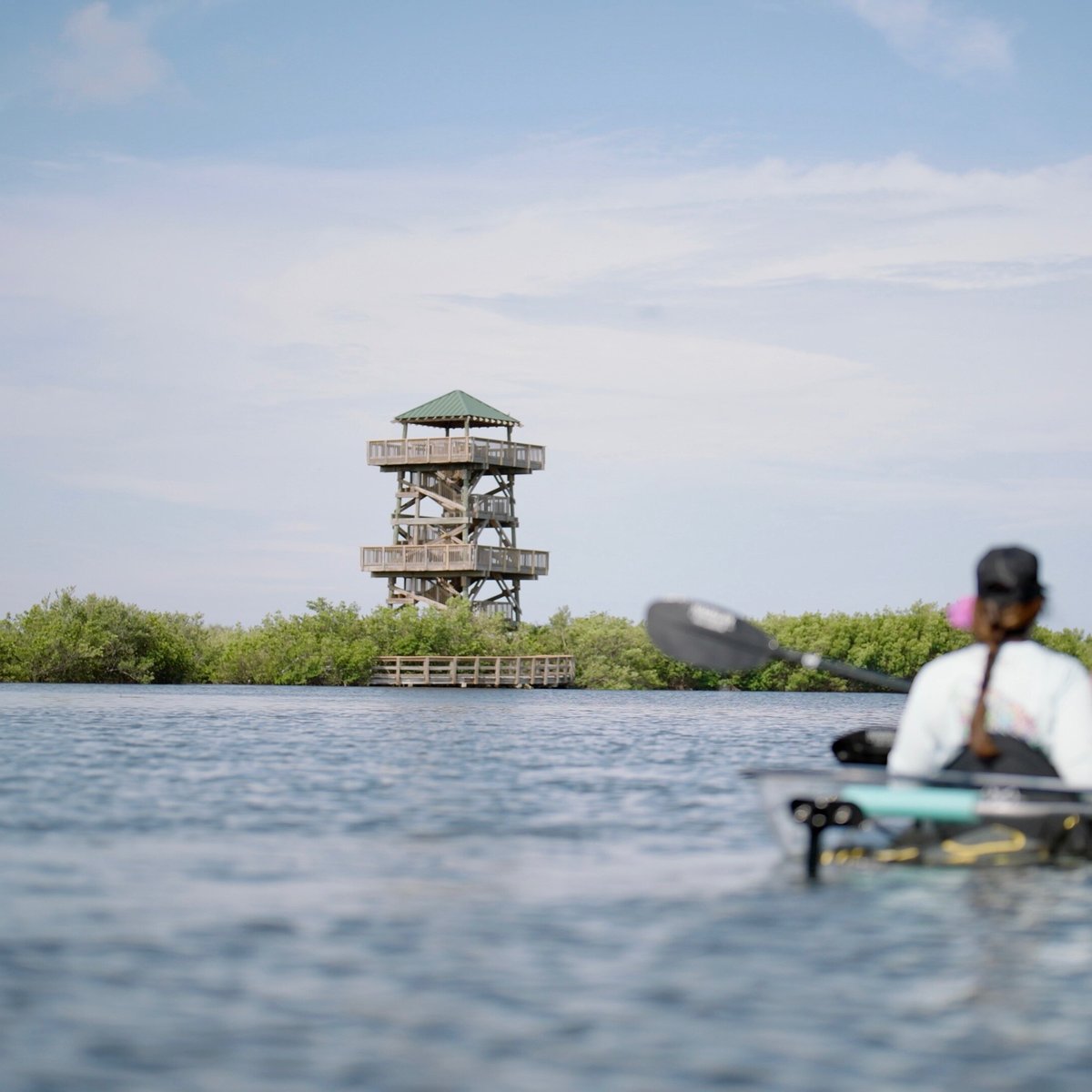 Get Up and Go Kayaking Robinson Preserve, Брадентон: лучшие советы перед  посещением - Tripadvisor